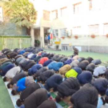نویسنده: سید محمدرضا شاهان دشتی